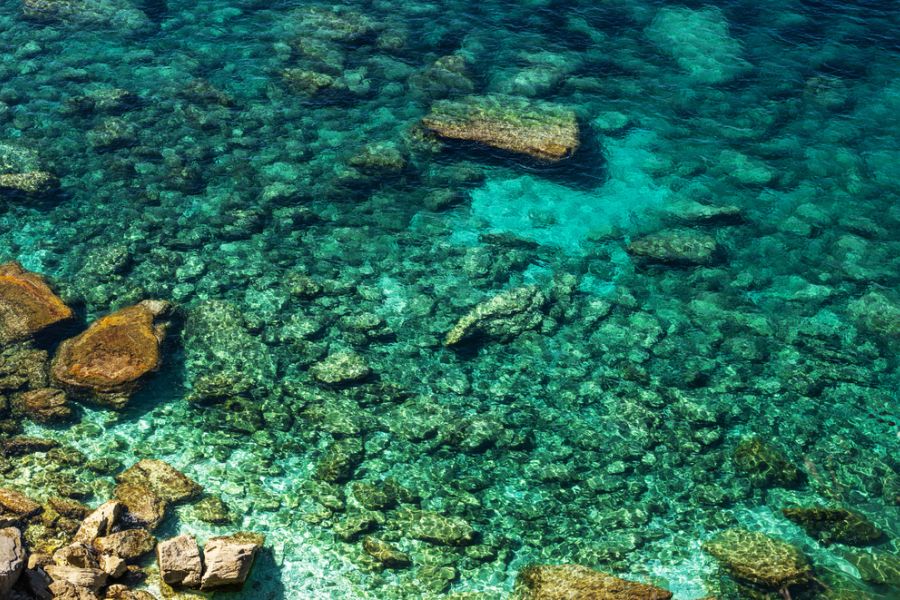 Pesca del rape en fondos rocosos: cómo el diseño del peso reduce enganches y pérdidas en el palangre