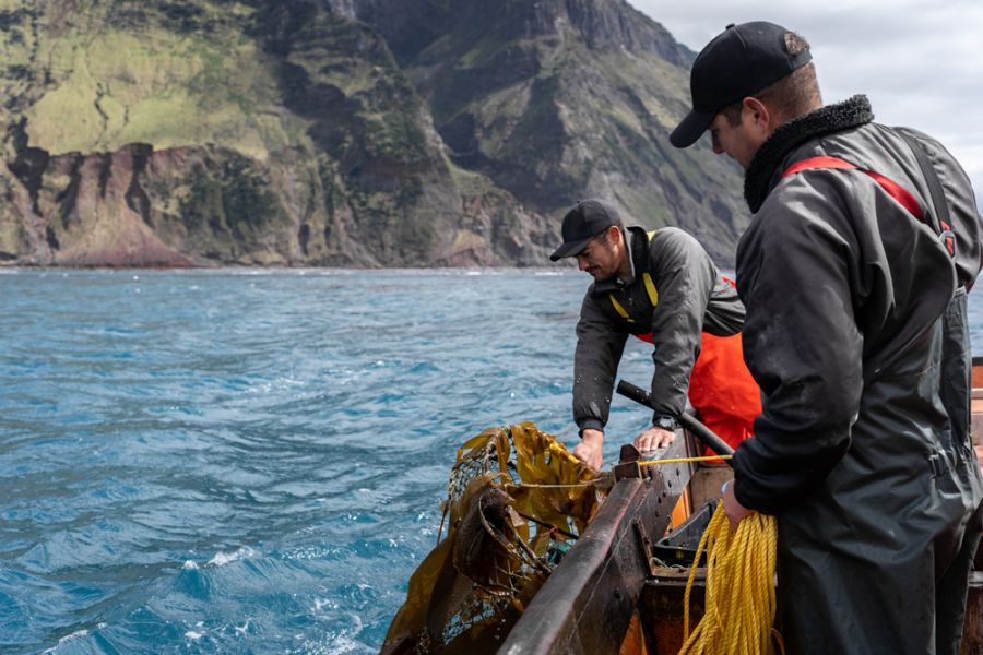 Palangre de fondo para la pesca de merluza