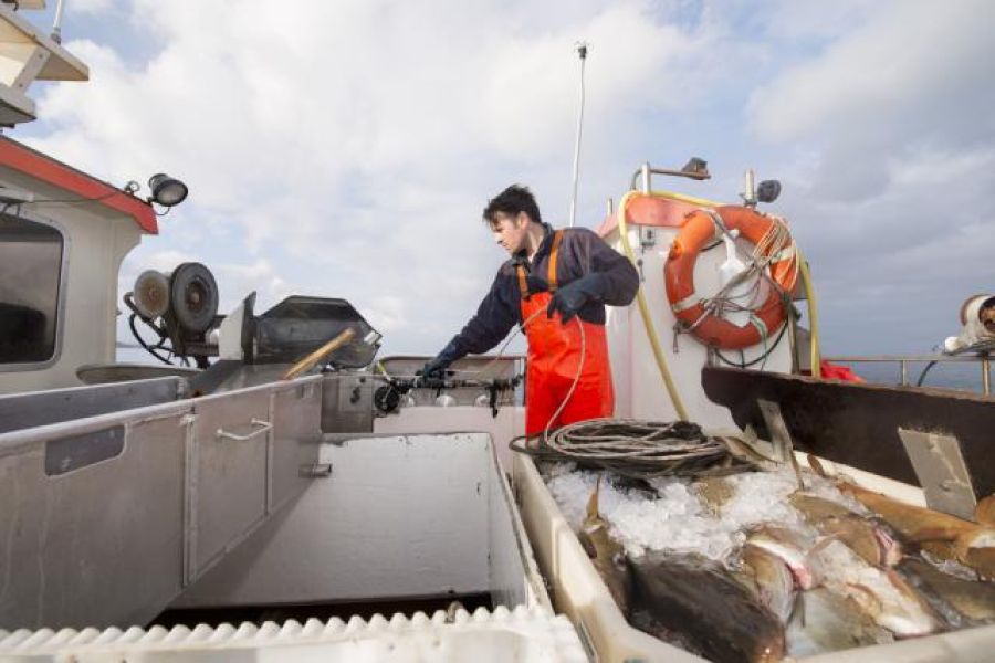 Pesca fantasma: cómo reducir el impacto de las artes de pesca perdidas desde el diseño del aparejo