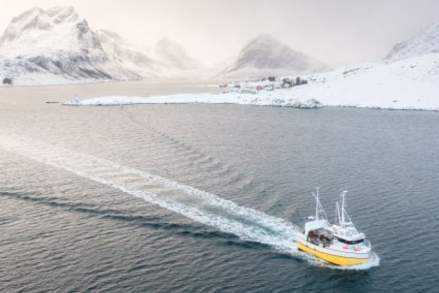 Pesca de bajo impacto: implicaciones reales para la operativa de una flota industrial